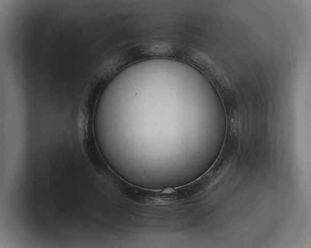 X0000102300739200808011402