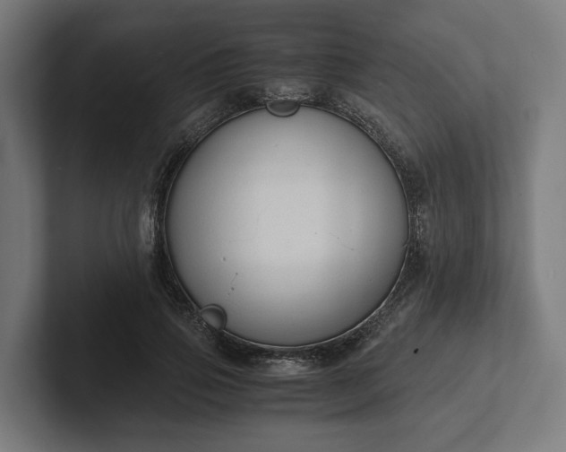 X0000102300741200808011402