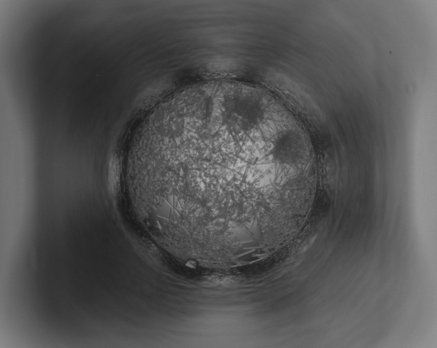 X0000102300742200808011402