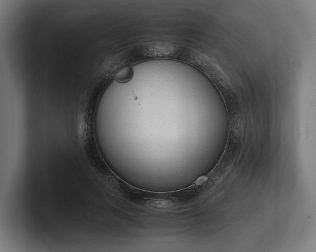 X0000102300743200808011402