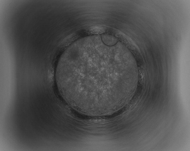 X0000102300745200808011402