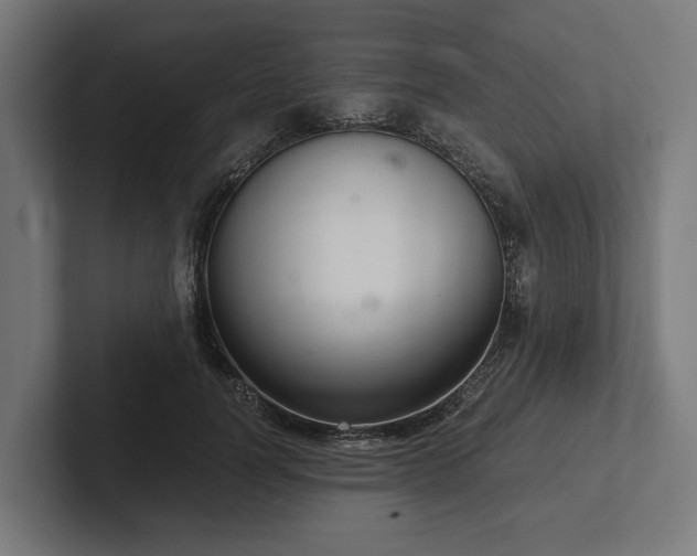 X0000102300746200808011402