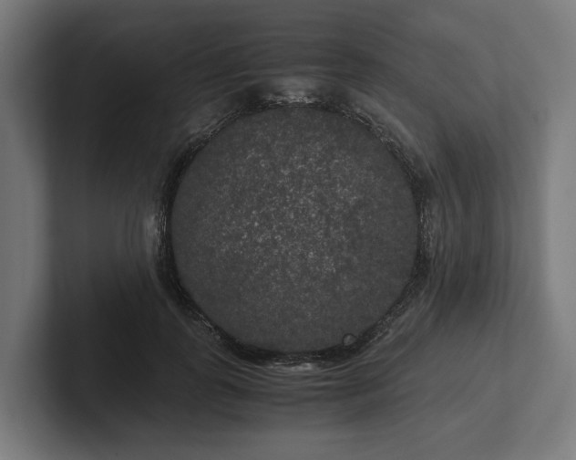 X0000102300747200808011402