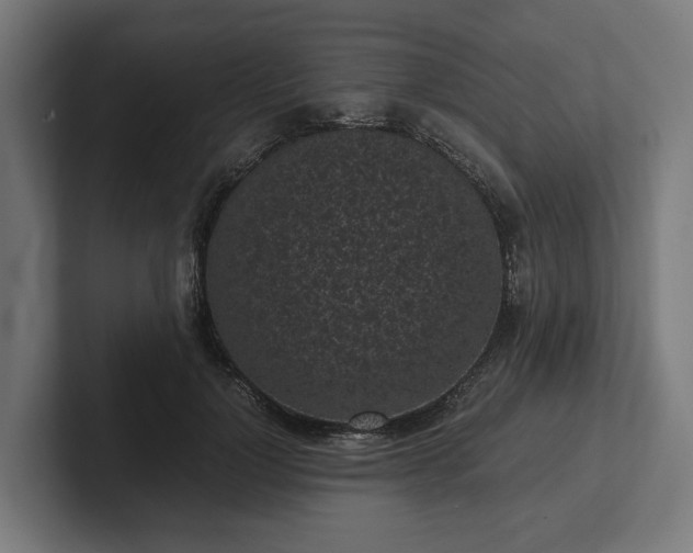 X0000102300748200808011402