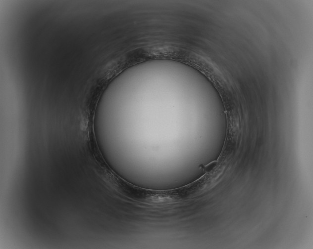 X0000102300749200808011402