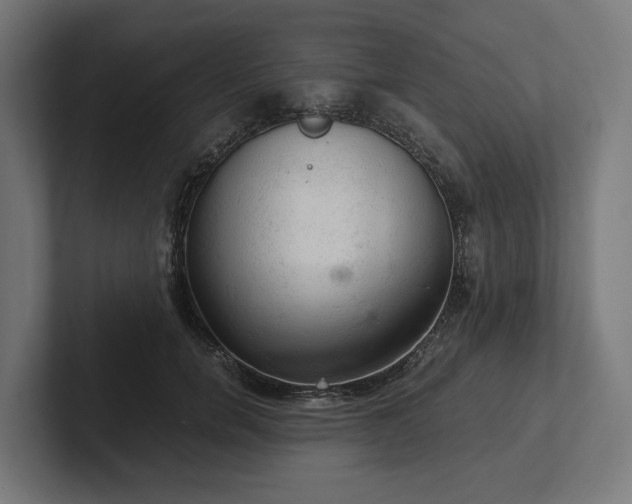 X0000102300750200808011402