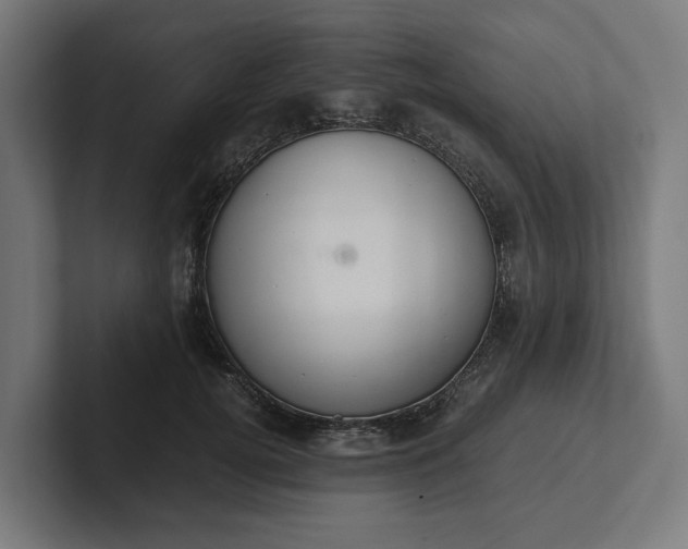 X0000102300752200808011402