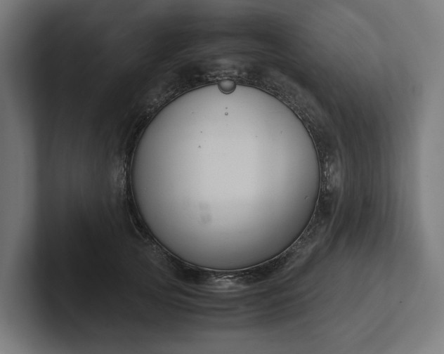 X0000102300753200808011402