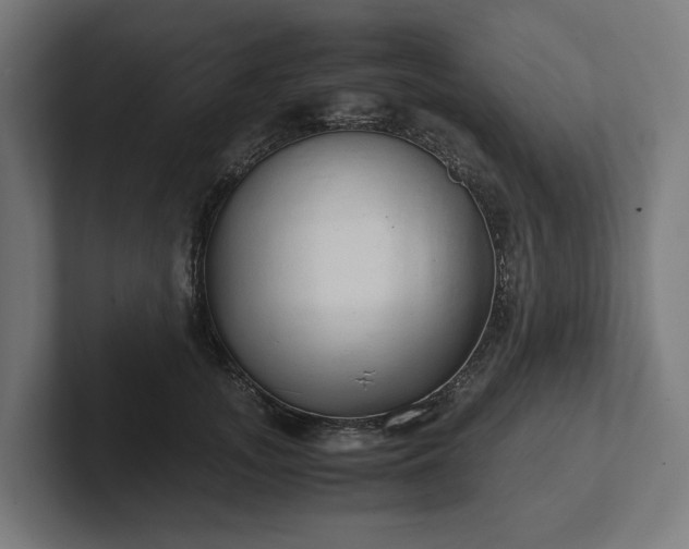 X0000102300755200808011402