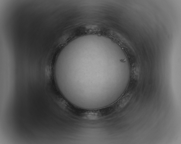 X0000102300756200808011402