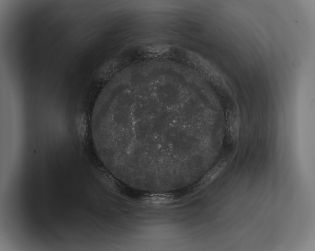 X0000102300758200808011402