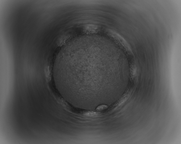 X0000102300759200808011402