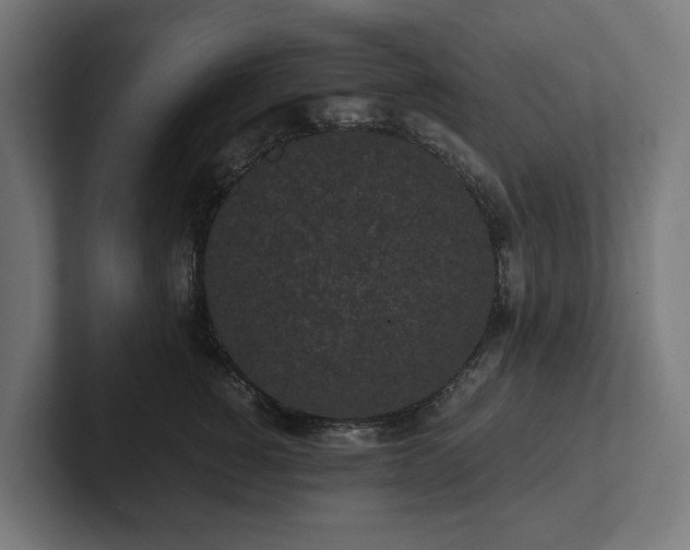 X0000102300760200808011402