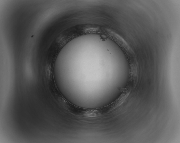 X0000102300761200808011402