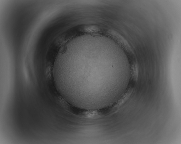 X0000102300762200808011402