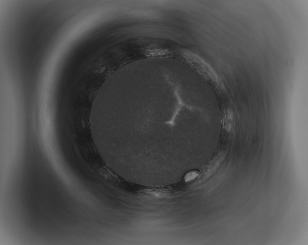 X0000102300763200808011402