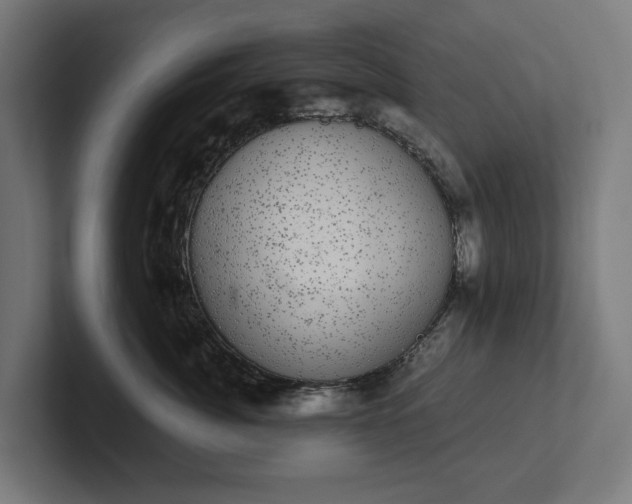 X0000102300764200808011402