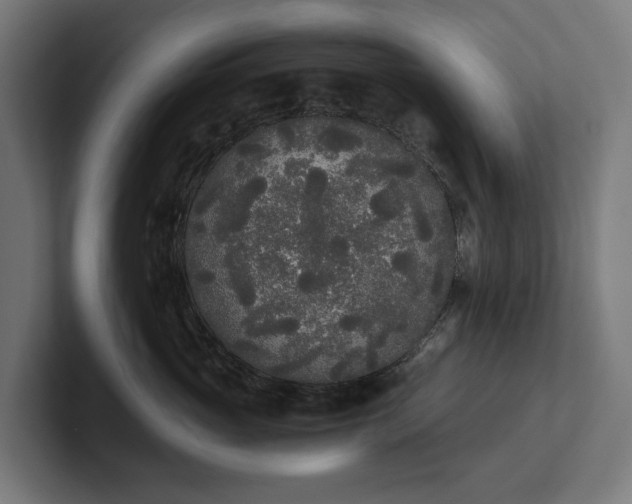 X0000102300765200808011402