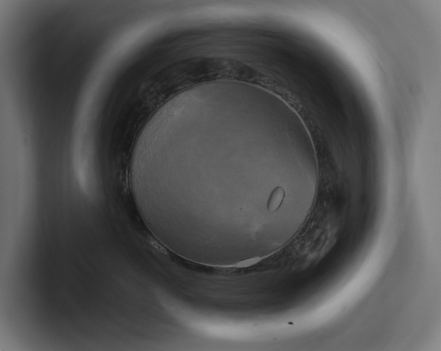 X0000102300766200808011402