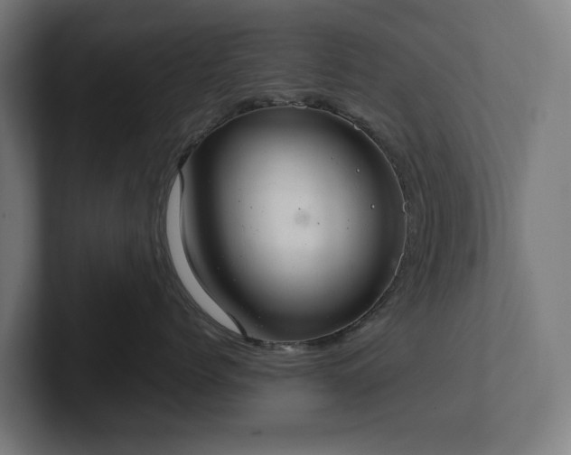 X0000102300768200808011402