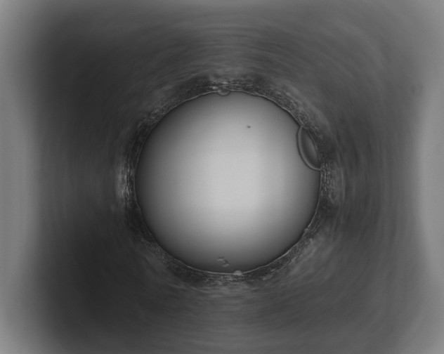 X0000102300770200808011402