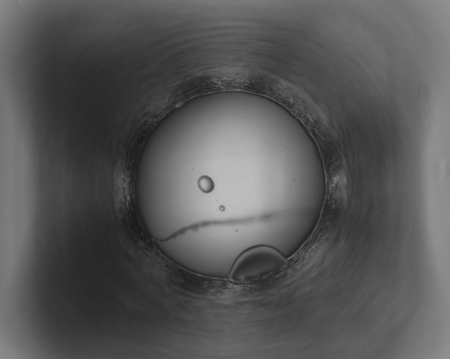 X0000102300772200808011402