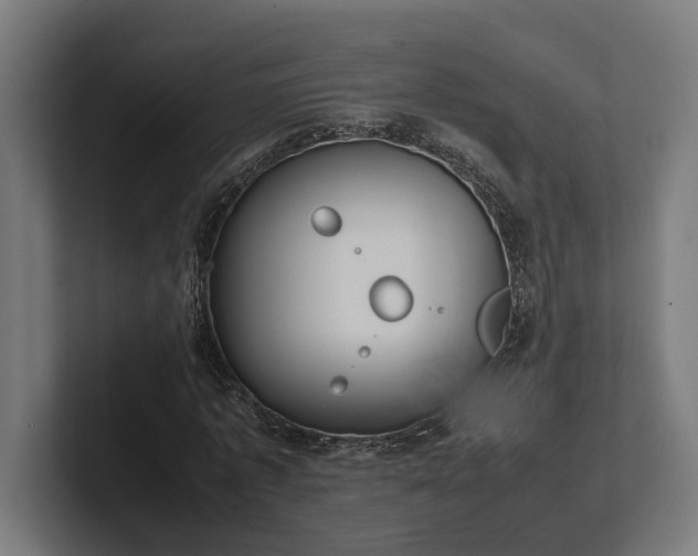 X0000102300773200808011402