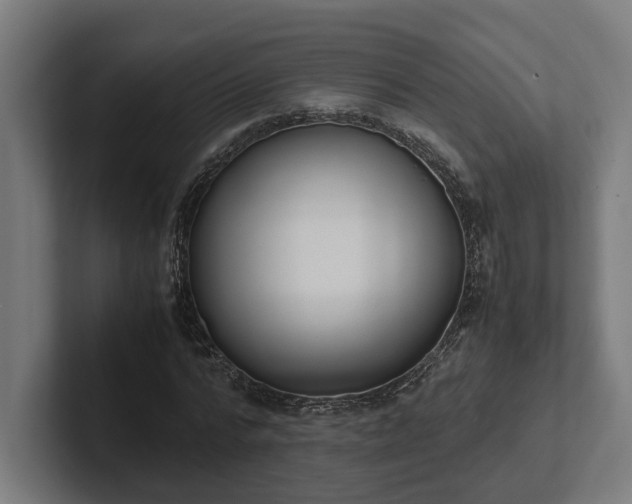 X0000102300776200808011402