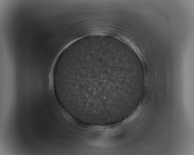 X0000102300779200808011402