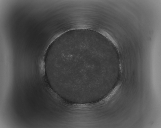 X0000102300781200808011401