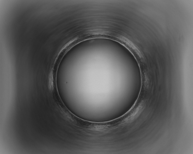 X0000102300782200808011401