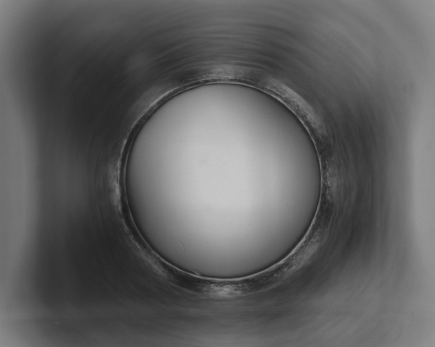 X0000102300794200808011401