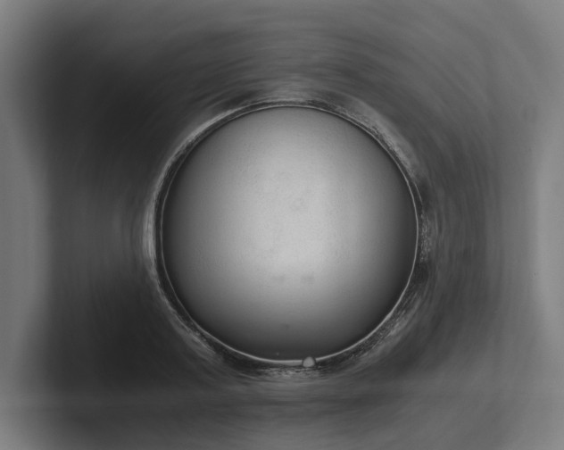 X0000102300795200808011401