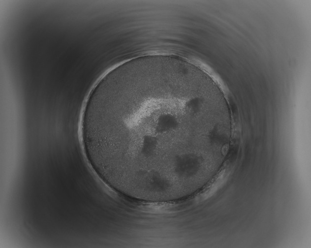 X0000102300803200808011401