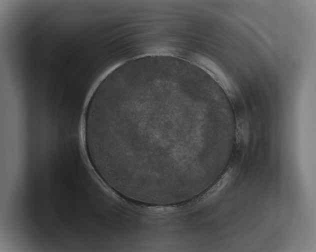 X0000102300804200808011401