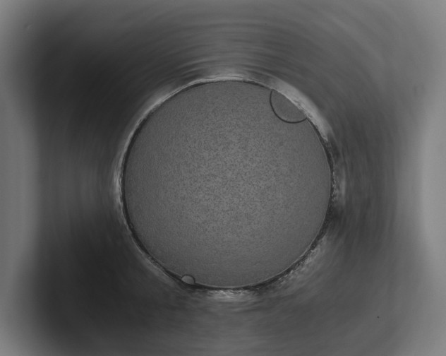 X0000102300805200808011401