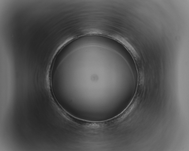 X0000102300806200808011401