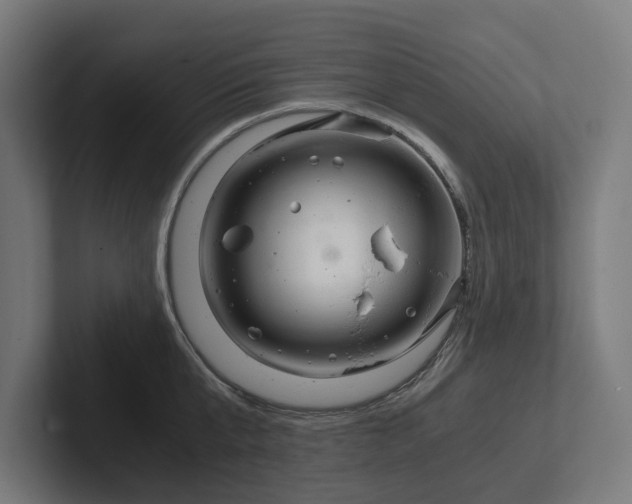 X0000102300807200808011401