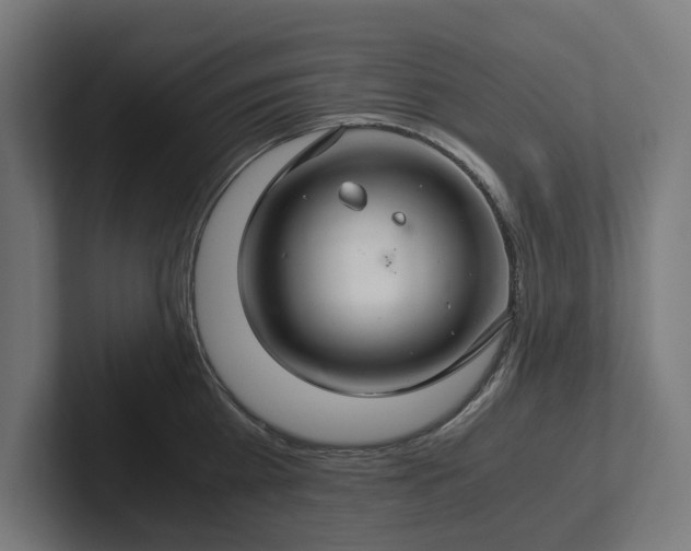 X0000102300809200808011401