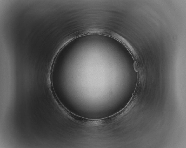 X0000102300810200808011401