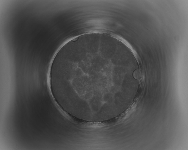 X0000102300811200808011401