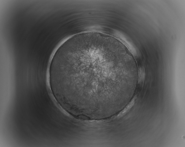 X0000102300812200808011401