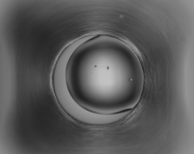 X0000102300813200808011401