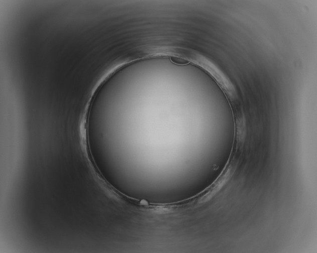 X0000102300814200808011401