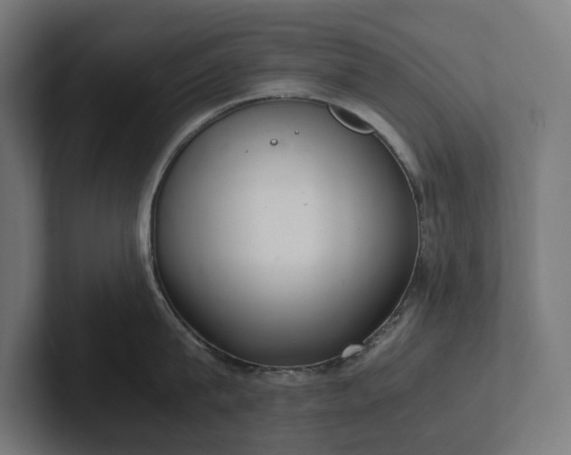 X0000102300815200808011401