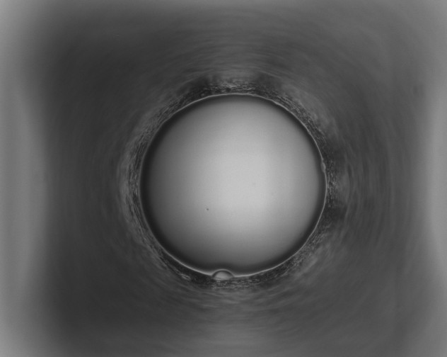 X0000102300817200808011400