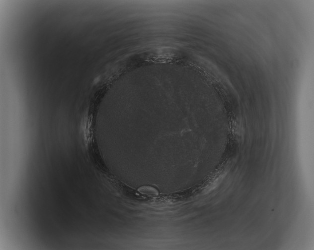 X0000102300818200808011400