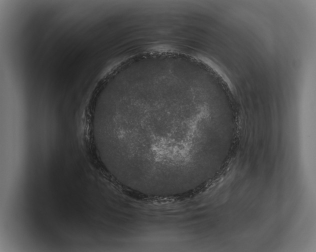 X0000102300823200808011400