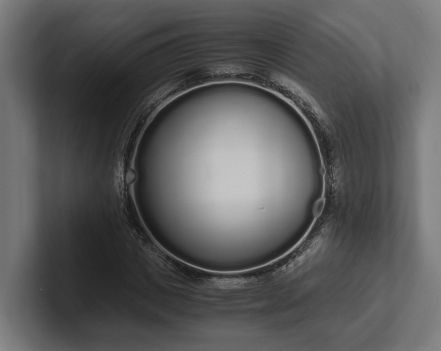 X0000102300825200808011400