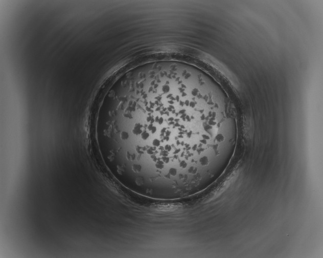 X0000102300826200808011400